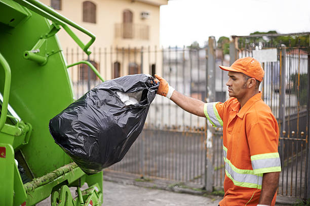 Best Dumpster Rental Services in Hallandale Beach, FL